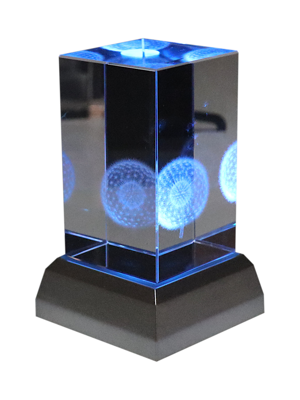 Kristallquader 3D Pusteblume 50x50x80